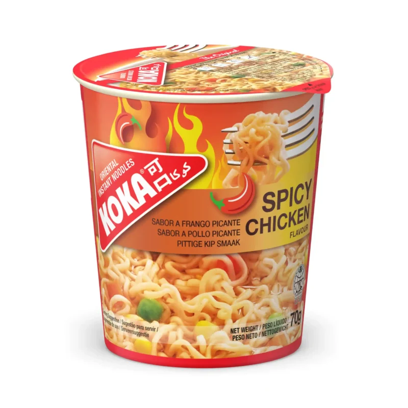 Spicy Chicken Noodles - Image 2